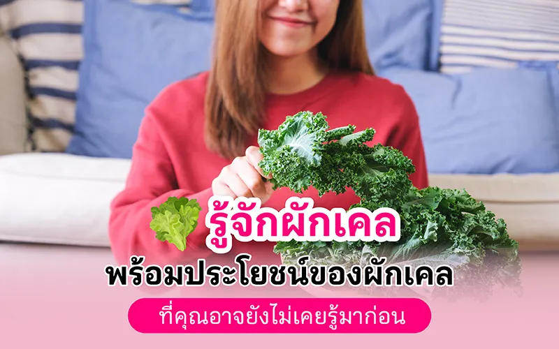 รู้จักผักเคล พร้อมประโยชน์ของผักเคล ที่คุณอาจยังไม่เคยรู้มาก่อน 02